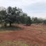  Land for sale in Mineral Del Chico, Hidalgo, Mineral Del Chico