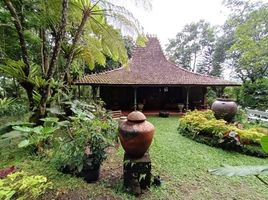  Tanah for sale in Yogyakarta, Gamping, Sleman, Yogyakarta