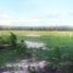 Land for sale in Dat Do Ba Ria-Vung Tau, Lang Dai, Dat Do