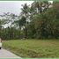  Land for sale in Yogyakarta, Gamping, Sleman, Yogyakarta