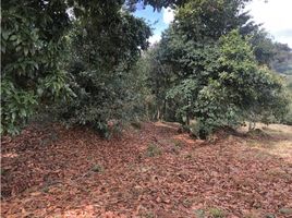 Grundstück zu verkaufen in Retiro, Antioquia, Retiro