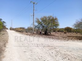  Terreno (Parcela) en venta en Pesqueria, Nuevo León, Pesqueria