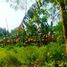  Terreno (Parcela) en venta en Pondok Aren, Banten, Pondok Aren