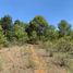  Land for sale in Erongaricuaro, Michoacan, Erongaricuaro