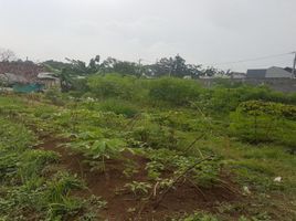 Terrain à vendre à Padalarang, West Jawa, Padalarang