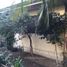  Land for sale in Mandaluyong City, Metro Manila, Mandaluyong City