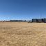  Land for sale in Cuauhtemoc, Chihuahua, Cuauhtemoc