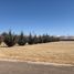  Land for sale in Cuauhtemoc, Chihuahua, Cuauhtemoc