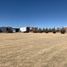  Land for sale in Cuauhtemoc, Chihuahua, Cuauhtemoc