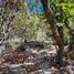  Terreno (Parcela) en venta en Zapopan, Jalisco, Zapopan, Jalisco