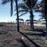  Terreno (Parcela) en venta en Acapulco, Guerrero, Acapulco
