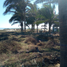  Terreno (Parcela) en venta en Acapulco, Guerrero, Acapulco