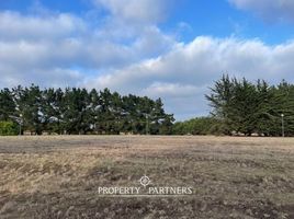  Terreno (Parcela) en venta en Valparaíso, Santo Domingo, San Antonio, Valparaíso