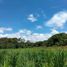  Land for sale in Cuauhtemoc, Colima, Cuauhtemoc