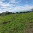  Land for sale in Cuauhtemoc, Colima, Cuauhtemoc