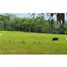 Studio Villa zu verkaufen in San Felix, Chiriqui, San Felix, San Felix