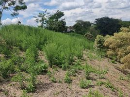  Terreno (Parcela) en venta en Ulloa, Valle Del Cauca, Ulloa