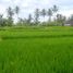  Land for sale in Tampak Siring, Gianyar, Tampak Siring