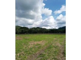  Terreno (Parcela) en venta en Capira, Panamá Oeste, El Cacao, Capira