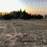  Land for sale in Chile, Colina, Chacabuco, Santiago, Chile
