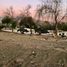  Land for sale in Chile, Colina, Chacabuco, Santiago, Chile