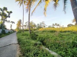  Land for sale in Ngemplak, Sleman, Ngemplak