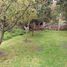 3 Habitación Villa en venta en Restaurante Tierra Norteña, Machali, Requinao