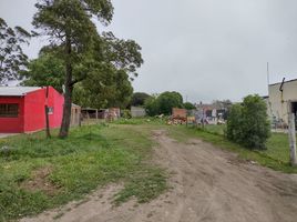  Grundstück zu verkaufen in General Pueyrredon, Buenos Aires, General Pueyrredon