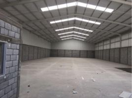 1,000 SqM Office for rent in Coahuila, Torreon, Coahuila
