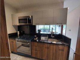 2 Schlafzimmer Appartement zu verkaufen in Miguel Hidalgo, Mexico City, Miguel Hidalgo, Mexico City