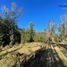  Land for sale in Chile, Maullin, Llanquihue, Los Lagos, Chile