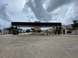 Maison 3 chambre à vendre à Conkal, Yucatan, Conkal