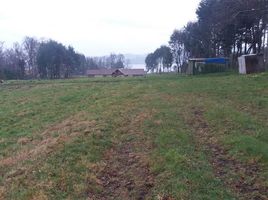  Land for sale in Santiago, Santiago, Santiago, Santiago