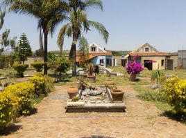 Terrain à vendre à Atlixco, Puebla, Atlixco, Puebla