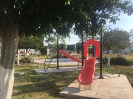  Land for sale in Apaseo El Grande, Guanajuato, Apaseo El Grande, Guanajuato