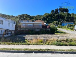  Land for sale in Chile, Puerto Montt, Llanquihue, Los Lagos, Chile