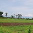  Land for sale in Majalengka, West Jawa, Kartajati, Majalengka