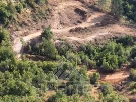  Terreno (Parcela) en venta en Linares, Maule, Longavi, Linares