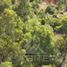  Terreno (Parcela) en venta en Linares, Maule, Longavi, Linares