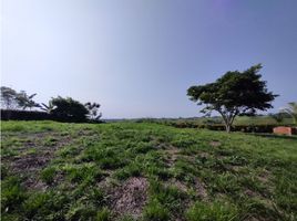  Land for sale in Valle Del Cauca, Ulloa, Valle Del Cauca