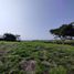  Land for sale in Ulloa, Valle Del Cauca, Ulloa