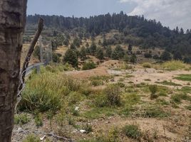  Grundstück zu verkaufen in Xonacatlan, Mexico, Xonacatlan
