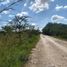  Land for sale in Champoton, Campeche, Champoton, Campeche