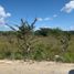  Land for sale in Champoton, Campeche, Champoton, Campeche