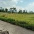  Land for sale in Magelang, Jawa Tengah, Mungkid, Magelang