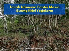  Land for sale in Tepus, Gunung Kidul, Tepus