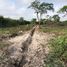  Terreno (Parcela) en venta en Dzitas, Yucatán, Dzitas