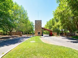 Terreno (Parcela) en venta en Colina, Chacabuco, Colina