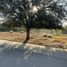  Terreno (Parcela) en venta en Colina, Chacabuco, Colina