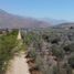  Land for sale in Chile, Lampa, Chacabuco, Santiago, Chile